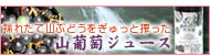 山ぶどうをぎゅっと搾った山葡萄ジュース